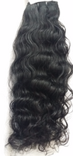 Load image into Gallery viewer, Raw Indian Natural Curly - 20 Inches